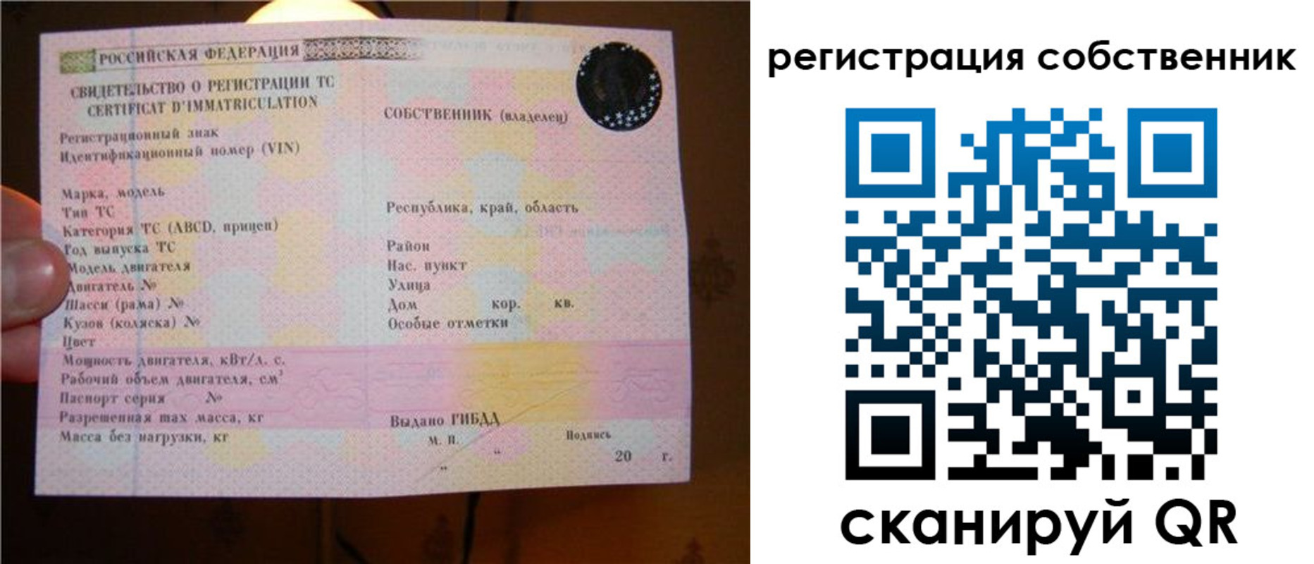 прописка иностранных граждан в Колпашево